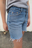 Vintage Denim Shorts (9/10)
